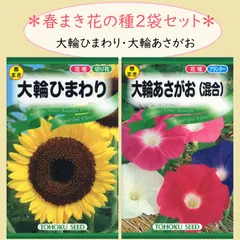 花の種 春まき ２袋セット 大輪ひまわり 大輪あさがお（混合）