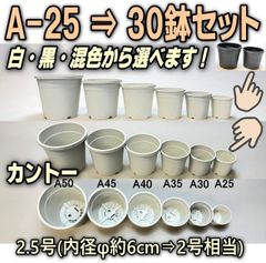 A-25(内径φ6.1cm:2号相当)プラ鉢[カネヤ＊カントー]の白・黒・混合を選べる30鉢セットA25＠フラワーショップ江口※黒インク状の付着が有ったりします＊多肉植物・塊根植物コーデックス・アガベ・サボテン・ハオルチア・アデニウム・パキポディウム・実生