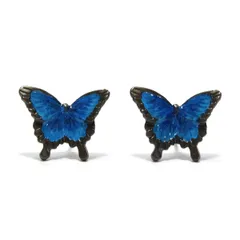 美麗オオルリアゲハの置物 Amazon.co.jp: オオルリアゲハ チョウの標本 約14 cm : おもちゃ