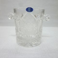 希少】ドリティス・プルケリマ 板付｜現品発送・開花見込み株 calm