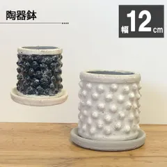 観葉植物 鉢 おしゃれ 陶器鉢 4号 デザイン陶器 ソーサー付 選べるカラー ブラック ブルー ホワイト 黒 白 青 鉢植え 植木鉢 人気 誕生日 インテリア リビング 送料無料 [AD20-120/DB60]