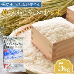 農家直送 秋田県産 令和7年 あきたこまち 【白希】 15kg 秋田小町
