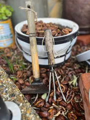 ⭕ジャンクガーデンの演出用 　サビサビ　鉄錆物　ブロカント　多肉&セダム　古道具 ジャンクガーデンの演出用 サビサビ鉄錆物ブロカント多肉&セダム古道具