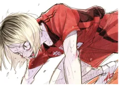 【フライヤー2種付き】ハイキュー!!入場者特典 ビジュアルボード コンプリート フライヤー2種付き】ハイキュー!!入場者特典 ビジュアルボード