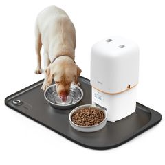 Item thumbnail for item 75e4ff8b-689a-4214-b849-7b3a497796fe