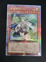 2025年最新】風霊媒師ウィン 25thの人気アイテム - メルカリ