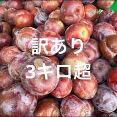 すももがらり　傷あり　訳あり　10㎏ 2025年最新】すももがらりの人気アイテム - メルカリ