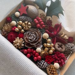 ドライフラワー ドライ ナッツ 木の実 詰め合わせ セットˎˊ˗ クリスマス　クリスマスBOX スギ　ヒイラギ　　No.37