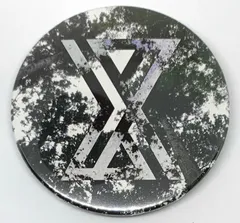 XYZ TOUR 2017 SUMMER 缶バッジ