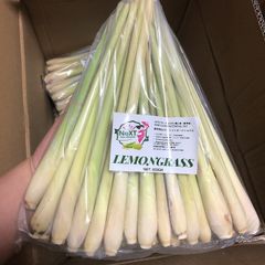 レモングラス・Fresh Lemongrass 500g/pack