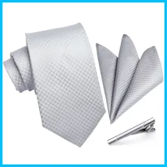 【早発】SN フォーマル ネクタイメンズ 結婚式 シルバー ネクタイ チーフ セット ビジネス 3点セット タイクリップ 高級 ギフトボックス付き 紳士用 礼服用 入学式 卒業式 T-001S