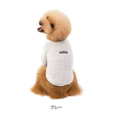 Item thumbnail for item 411c583b-baf4-45df-8431-9d857e96c92c