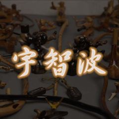 shop-thumbnail