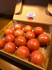 海水栽培　高糖度トマト　大分県産　1kg