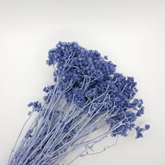 大地農園 クリスパム コバルトブルー 新品1束