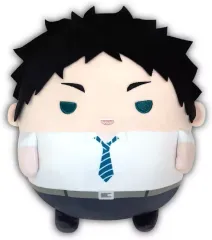 【新品】ぬいぐるみ 赤葦京治 ふわコロりんMsize6 「ハイキュー!!」