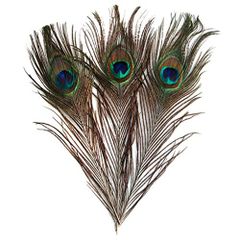 【ノーブランド品】羽根 目玉羽 装飾用の羽根 孔雀の羽 23-33cm 10本