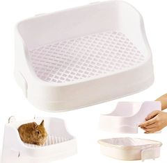 Item thumbnail for item 00c809dc-2313-4990-ad07-adf099b6a398