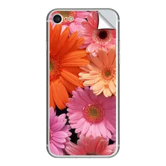 iPhoneSE2/15他 スキンシール ガーベラ カラフル 裏面 bb