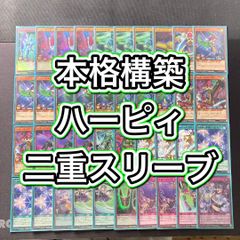 環境構築【ハーピィデッキ】 エクストラ＆二重スリーブセットのサムネイル