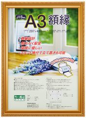 木製軽量額縁 ナカバヤシ 金ケシ A3(JIS規格) フ-KWP-40 [オフィス用品]
