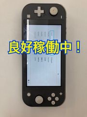 Nintendo Switch Lite グレー　ニンテンドースイッチ