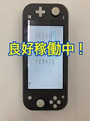 Nintendo Switch Lite グレー　ニンテンドースイッチ