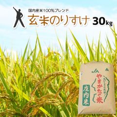 さっぱりツヤツヤ 令和7年度兵庫県産キヌヒカリ 冷めても甘い 農家直送