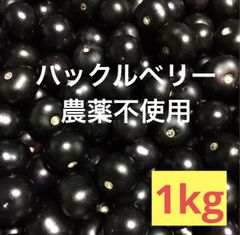 発送予定日10月下旬〜11月上旬　ハックルベリー 完熟  1キロ ジャム 酵素ジュース シロップ用 農薬不使用