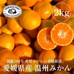 【予約】愛媛県川上産 みかん 2kg【送料無料】「11月上旬より順次発送」農家直送 創業108年 愛媛みかん の老舗 新口農園