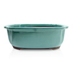 【未使用】盆栽鉢 8号 木瓜鉢 モッコ鉢 緑色 織部釉 瀬戸焼 陶器 深め 大型 中型 雑木 松柏 約25センチ 植木鉢 苔 うめきち盆栽用品店