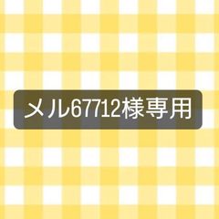 ★メル67712様専用ページ★2024年12月ご依頼分