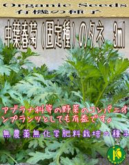 中葉春菊（固定種）のタネ 3ml　無農薬無化学肥料栽培のタネ　コンパニオンプランツとしても有益！