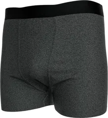 Sereni セレーニ 尿漏れパンツ 失禁 20ml 男性用 吸水ボクサーパンツ 軽失禁対応 防水 消臭抗菌 自然なシルエット(チャコール,  L)