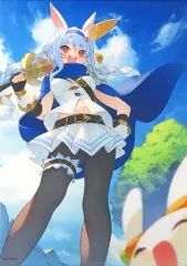 2025年最新】兎田ぺこら タペストリーの人気アイテム - メルカリ