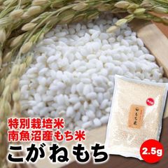 新潟・魚沼/もち米2.5kg