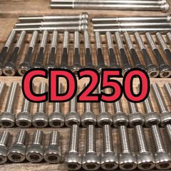 ステンレス製 CD250 MA02 左右エンジンカバーボルト 合計19本