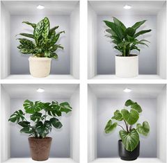 Item thumbnail for item 9c826d63-9a2c-46ca-8893-fd6d3275de1b