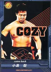 2025年最新】キングオブプロレスリングの人気アイテム - メルカリ