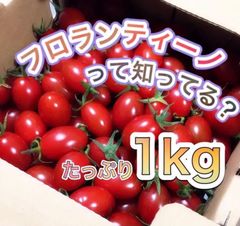 【フロランティーノ1㎏】高糖度フルーツミニトマト　2021/12/13出荷分