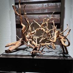 【流木セット②】ブランチ系流木 大サイズ１本＆中サイズ３本セット　アクアリウム　レイアウト素材