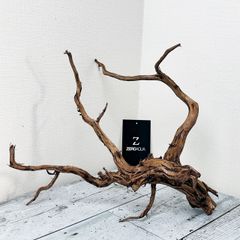【太めの枝が水景のポイントに】プレミアムブランチウッド/Branchwood【B005】