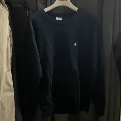 Champion(チャンピオン) リバースウィーブ ブルータック パーカー L ラージ サイズ