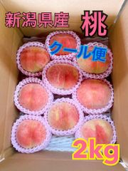 食品 今日限定 長野桃 ワッサー 大玉 5キロ2箱セットクール便