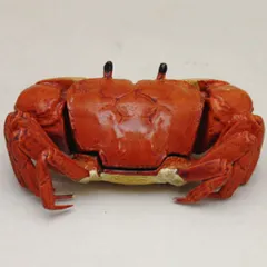 2025年最新】多喜翁の人気アイテム - メルカリ