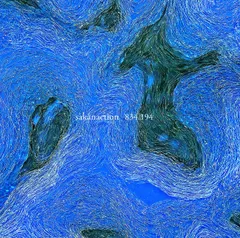 【中古CD】834.194 (通常盤[2CD])(応募抽選ハガキなし) /ビクターエンタテインメント /サカナクション /K1502-250731SR-2781 /4988002786114