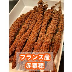 赤粟穂 250g フランス産 - メルカリ