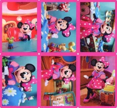 【中古】キャラカード 全6種セット コレクションカード 「ディズニー・パルパルーザ ミニーのファンダーランド」 東京ディズニーランド限定