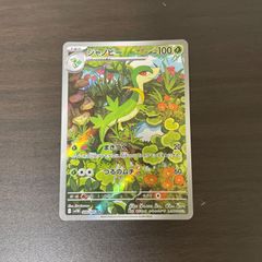 ポケモン AR ジャノビー ＝No.580