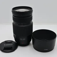 2023年最新】LUMIX G VARIO 100-300の人気アイテム - メルカリ